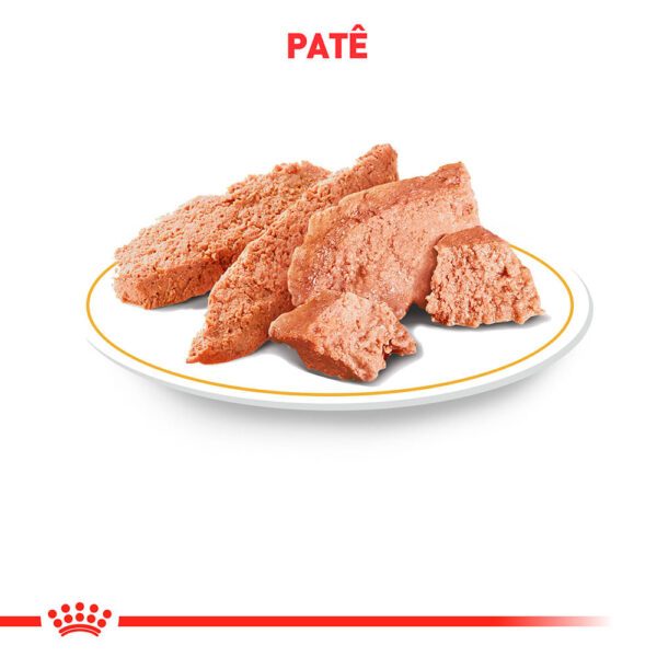Royal Canin Lata Dog Satiety 410 G - Image 2