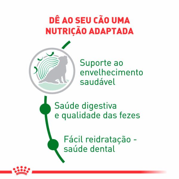 Ração Royal Canin Mini Indoor Cães Idosos 1kg - Image 2