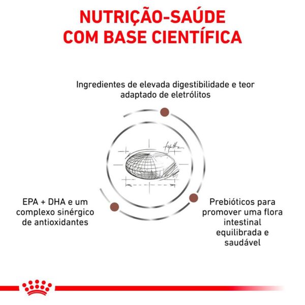 Ração Royal Canin Gastrointestinal Cães Adultos 2 Kg - Image 2