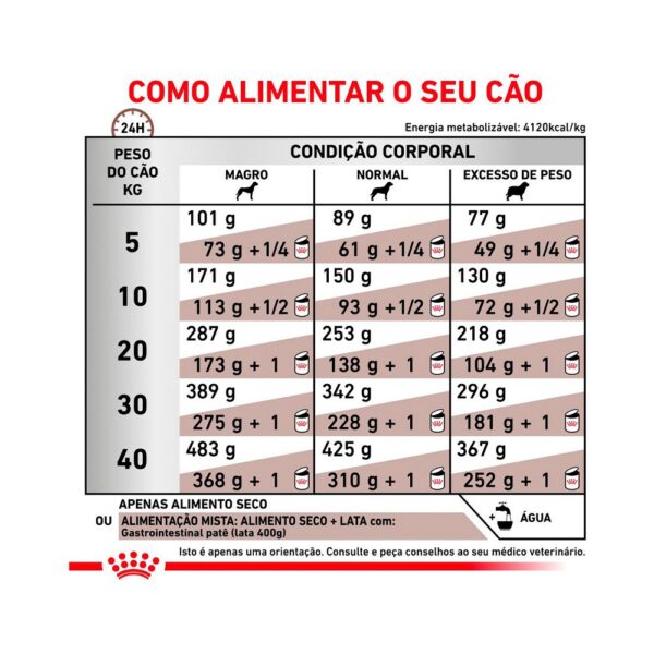 Ração Royal Canin Gastrointestinal Cães Adultos 2 Kg - Image 4