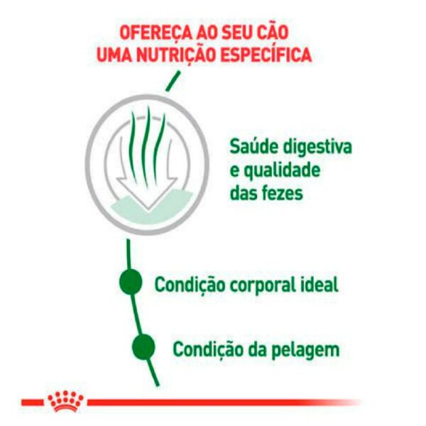 Ração Royal Canin Mini Indoor Adult Cães Adultos 2,5kg - Image 2
