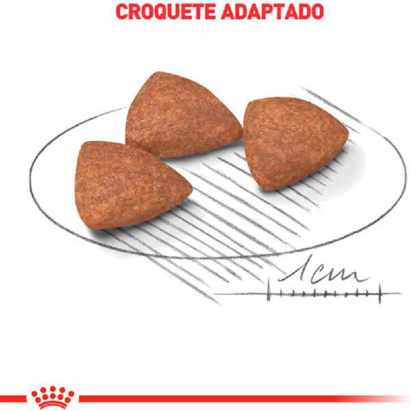 Ração Royal Canin Mini Indoor Adult Cães Adultos 2,5kg - Image 3