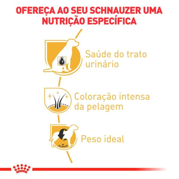 Ração Royal Canin Miniature Schnauzer Cães Adultos 2,5kg - Image 3