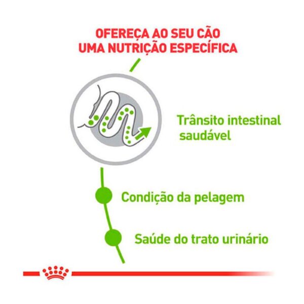 Ração Royal Canin X-small Cães Adultos Porte Mini 2,5kg - Image 2