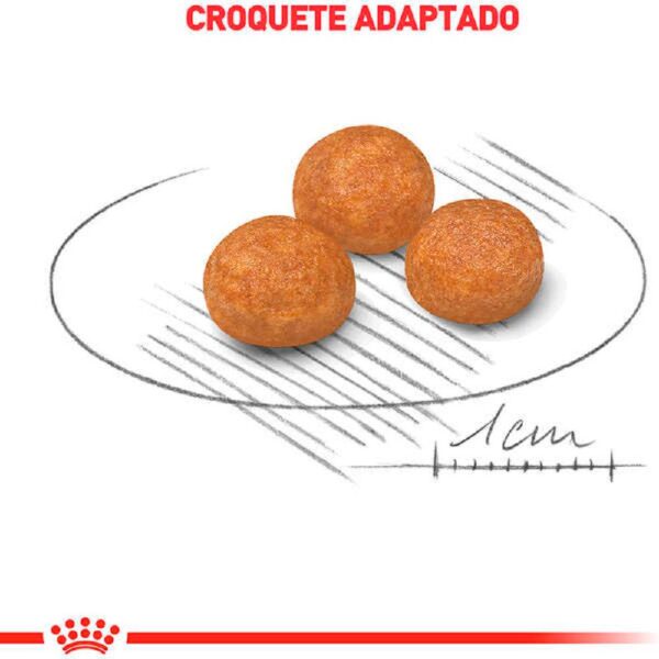 Ração Royal Canin X-small Cães Adultos Porte Mini 2,5kg - Image 3