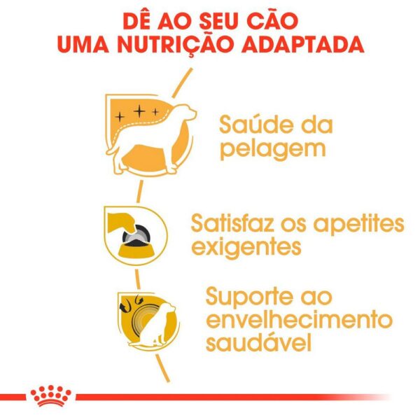 Ração Royal Canin Yorkshire Cães Adultos 2,5kg - Image 2