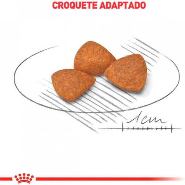 Ração Royal Canin X-small Ageing 12+ Cães Adultos E Idosos 1kg - Image 3