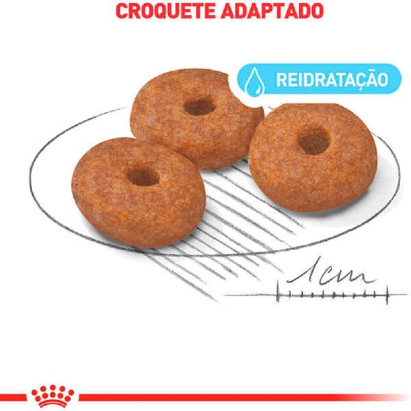 Ração Royal Canin Mini Indoor Cães Idosos 1kg - Image 3