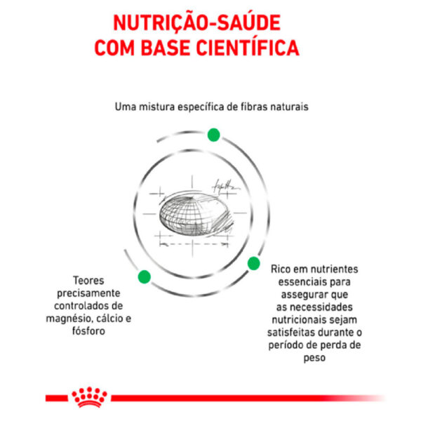 Ração Royal Canin Satiety Cães Adultos Raças Pequenas 1,5kg - Image 3