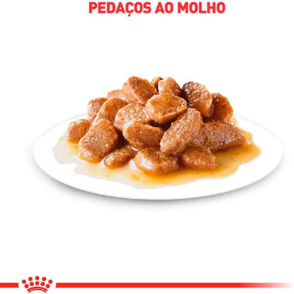 Ração Úmida Royal Canin Mini Adult Cães Adultos 85g - Image 3