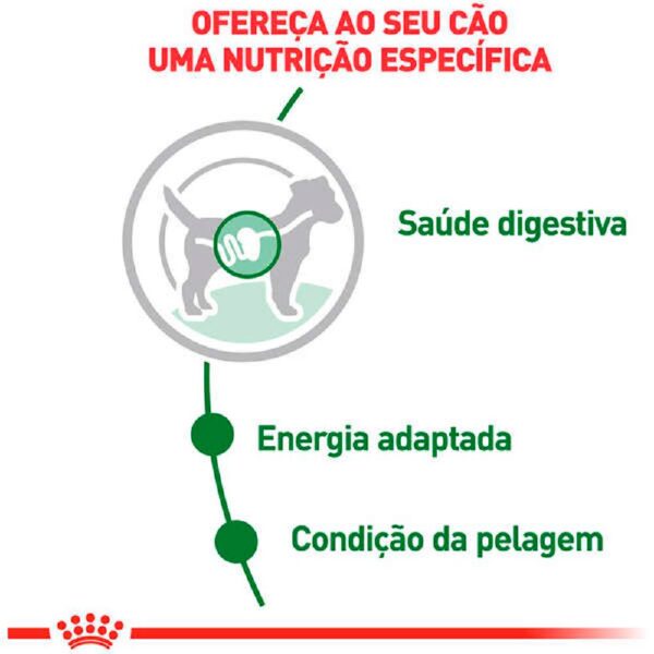Ração Úmida Royal Canin Mini Adult Cães Adultos 85g - Image 4