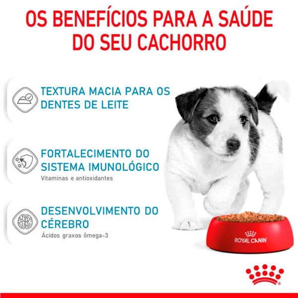 Ração Úmida Para Cães Filhotes Raças Mini Royal Canin 85 G - Image 3