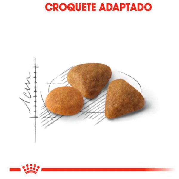 Ração Royal Canin Exigent Gatos Adultos 1,5kg - Image 3