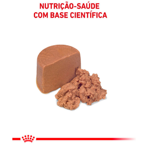 Royal Canin Lata Cat/dog Recovery 195g - Image 4